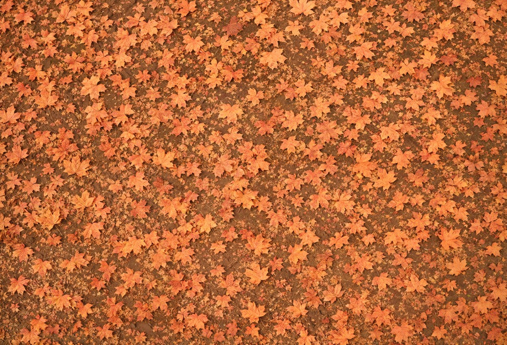 Kate Fall Maple Leaves Rubber Floor Mat