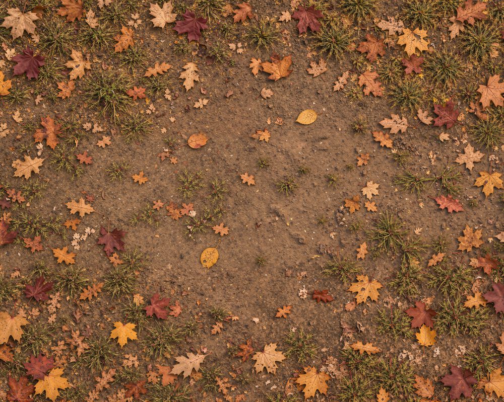 Kate Fall Maple Leaves Grass Brown Dirt Ground Rubber Floor Mat