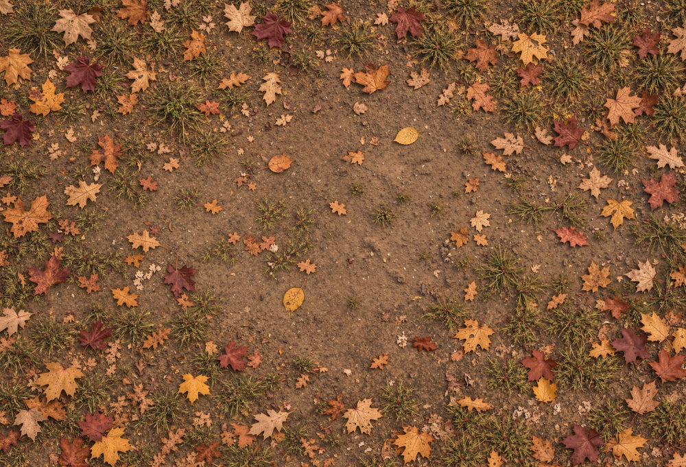 Kate Fall Maple Leaves Grass Brown Dirt Ground Rubber Floor Mat