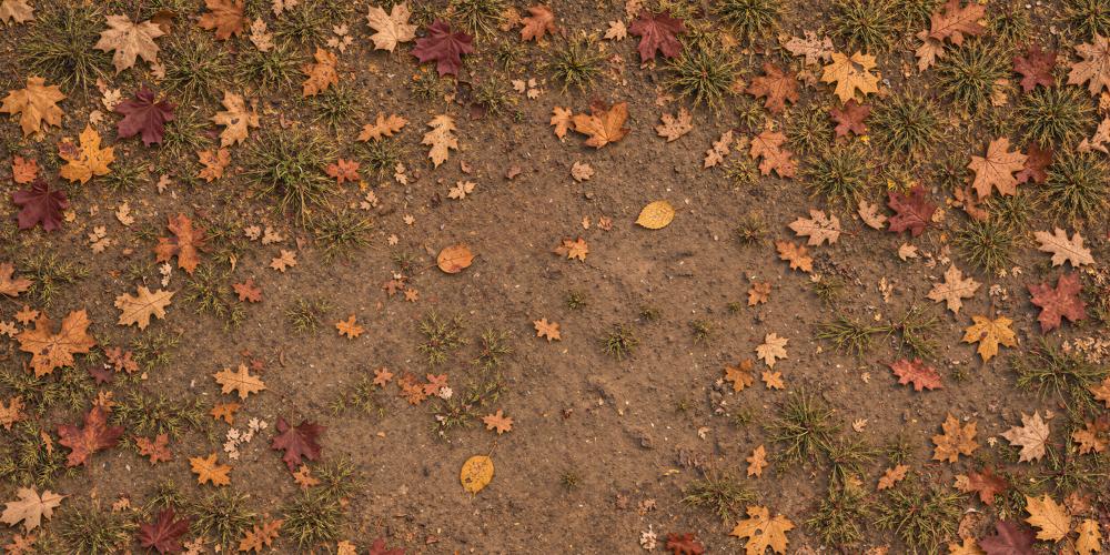 Kate Fall Maple Leaves Grass Brown Dirt Ground Rubber Floor Mat