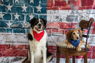 Kate Independence Day American Flag Graffiti Brick Wall Printed Backdrop