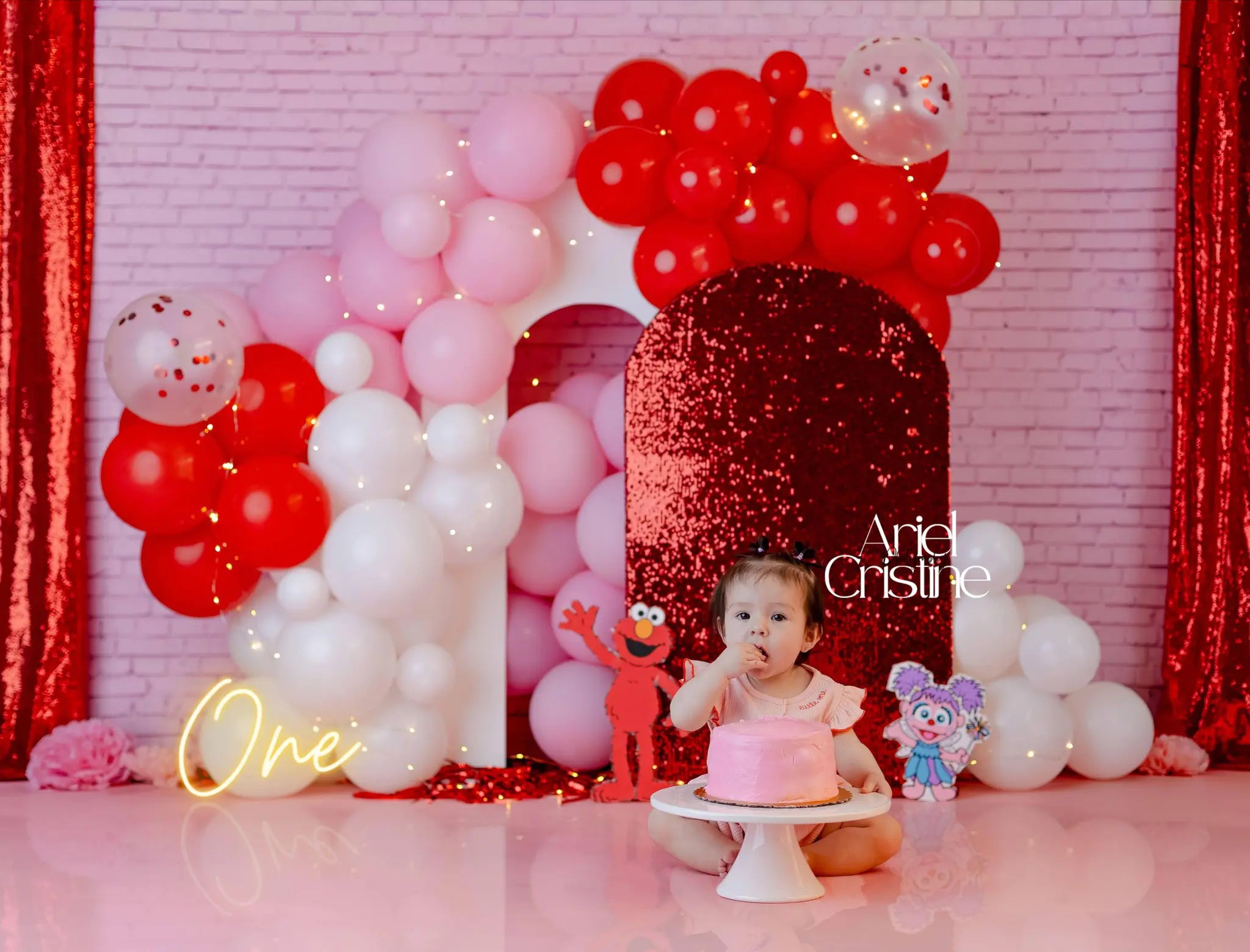 Kate Pink Brick Wall Photography Printed Backdrops