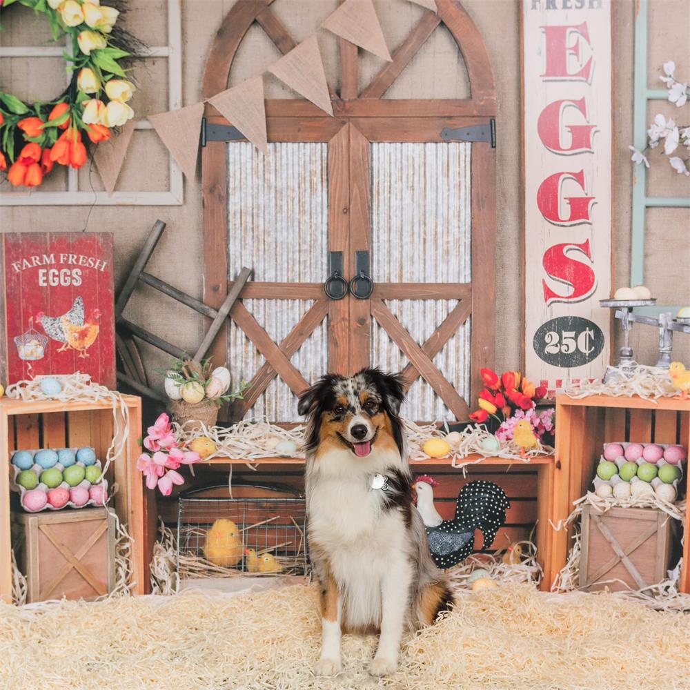 Kate Easter Colorful Egg Barn Door Backdrop for Photography