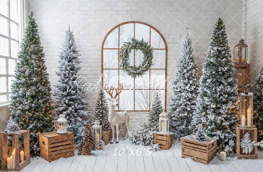 Kate Christmas Snowy Pines Arched Window Reindeer Crates Backdrop Designed by Emetselch