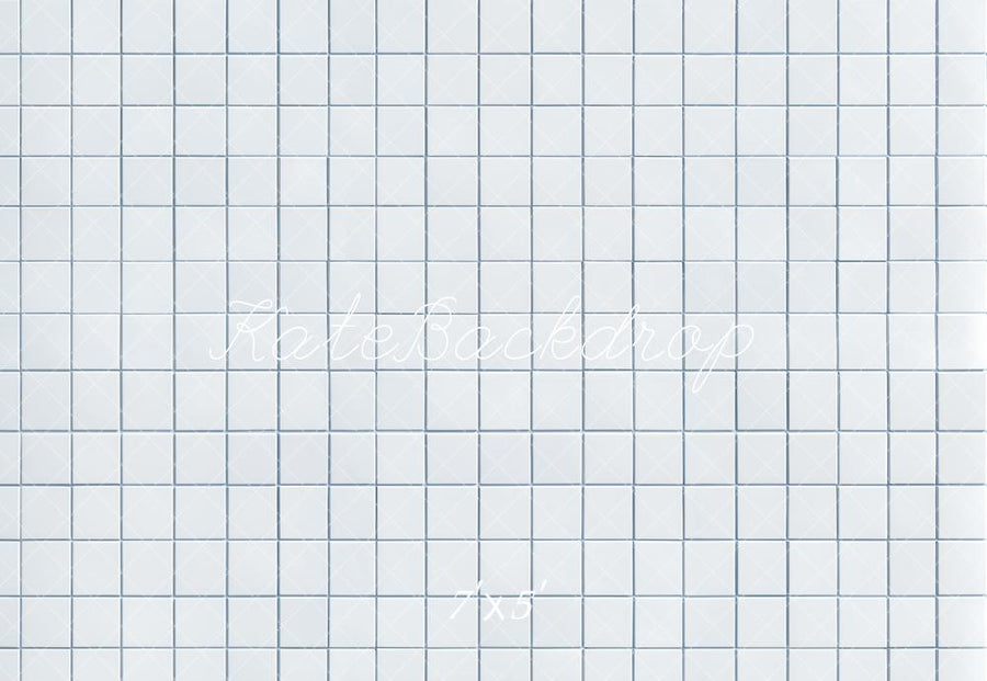 Minimalist White Grid Pattern Backdrop