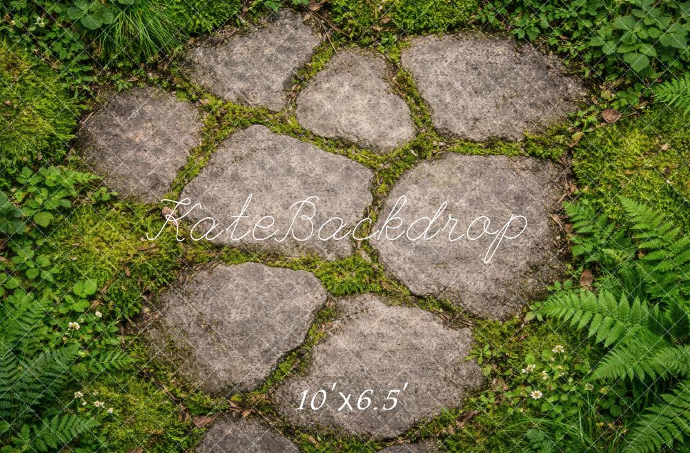 Kate Cobblestone Path With Ferns And Grass Floor Printed Backdrop Designed by Vertigo Productions
