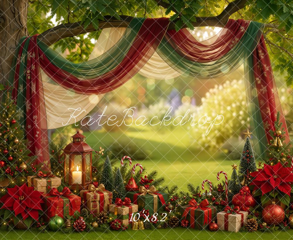 Kate Christmas Summer Outdoor Draped Arch Gifts Lanterns Printed Backdrop Designed by Emetselch