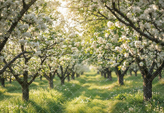 Kate Spring Blossom Orchard Pathway Printed Backdrop Designed by Emetselch