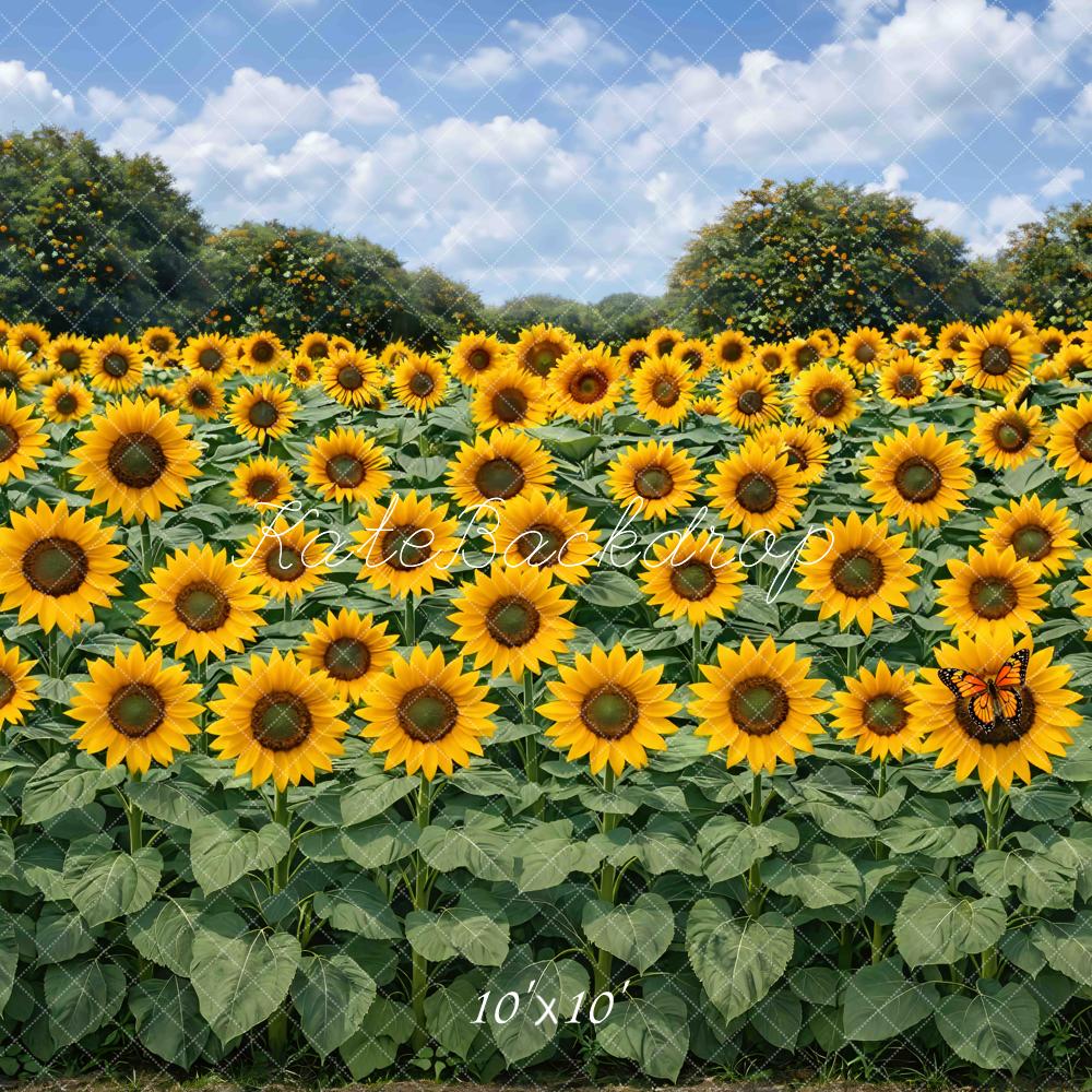 Kate Fall Sunflower Field Sky Printed Backdrop Designed by Mini MakeBelieve