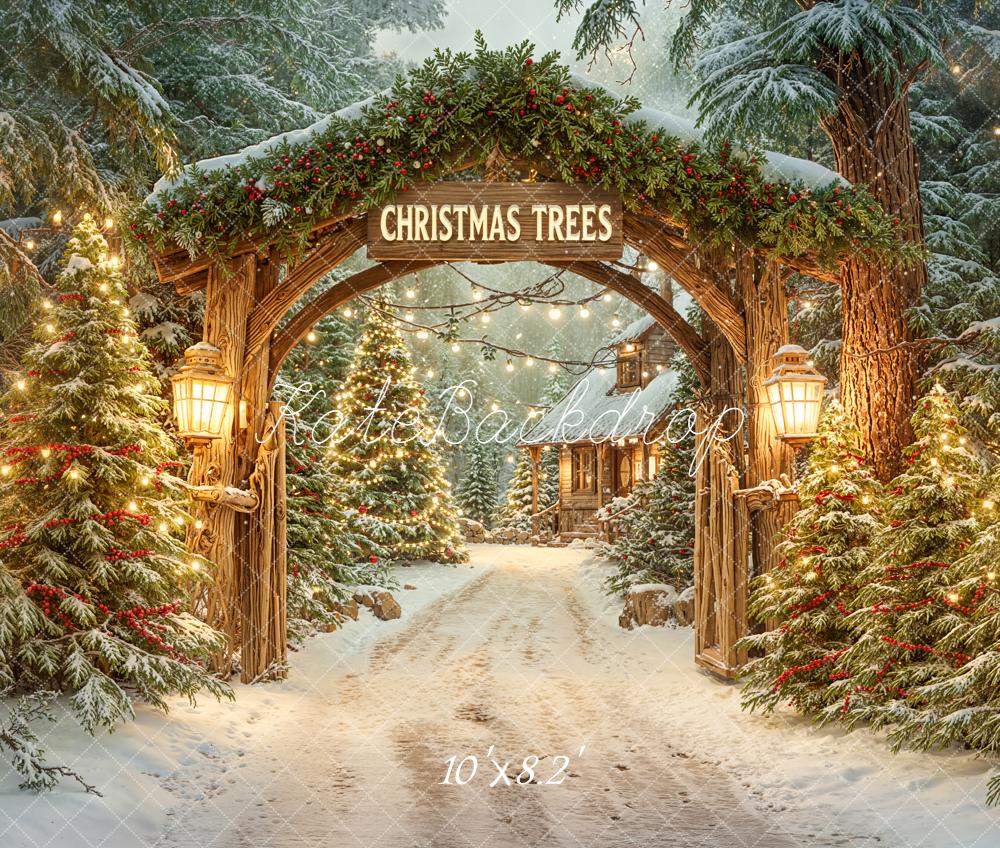 Kate Christmas Tree Arch Snowy Forest Pathway Cabin Backdrop Designed by Emetselch