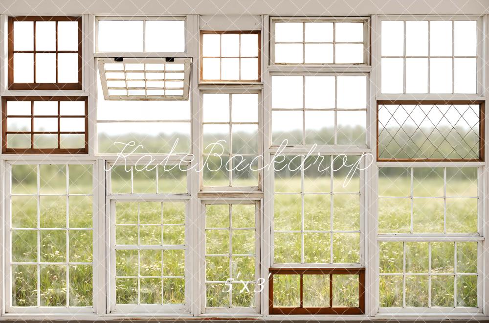 Kate Vintage Window Pane Field Printed Backdrop Designed by Mini MakeBelieve