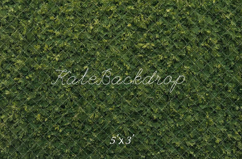Kate Green Leafy Wall Backdrop Designed by Kate Image
