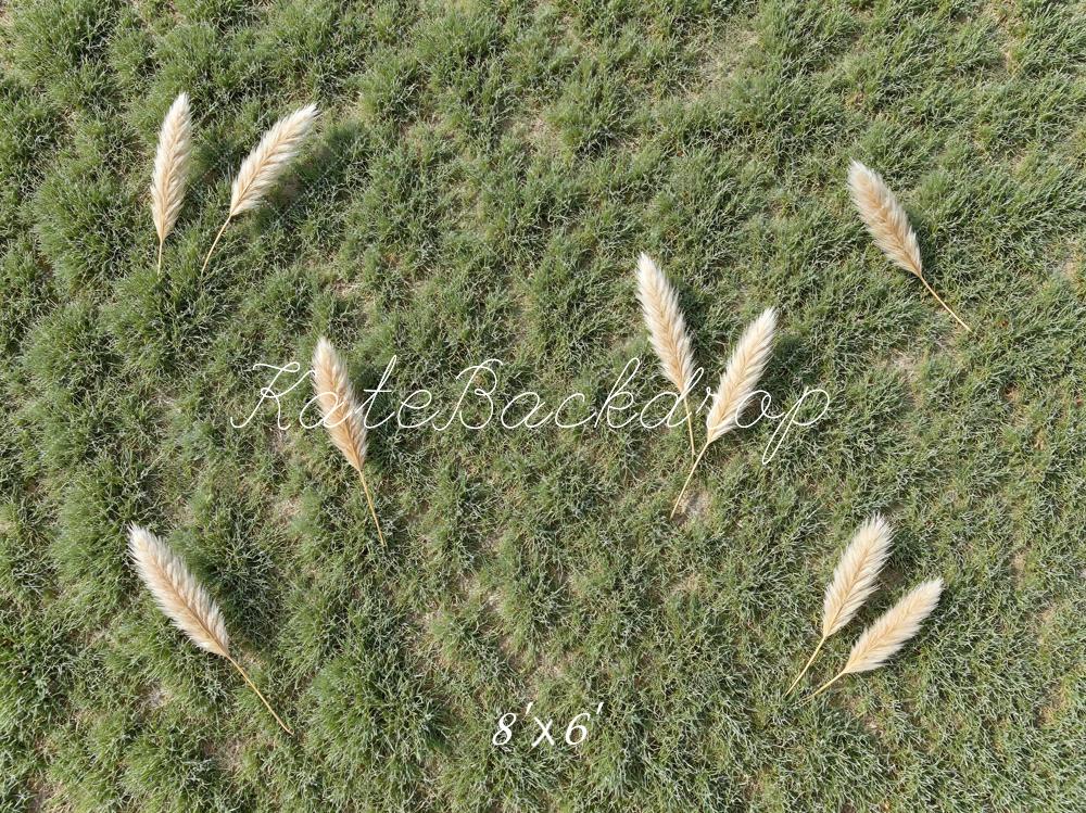 Kate Green Grass Pampas Grass Floor Printed Backdrop Designed by Mini MakeBelieve