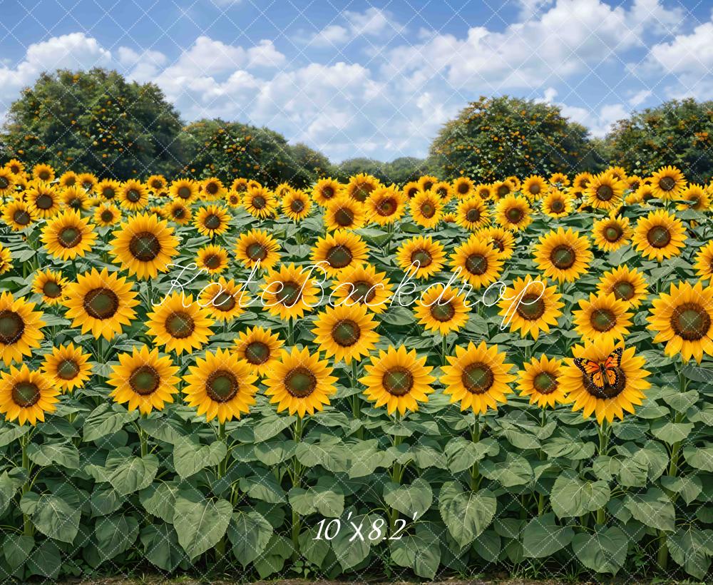 Kate Fall Sunflower Field Sky Printed Backdrop Designed by Mini MakeBelieve