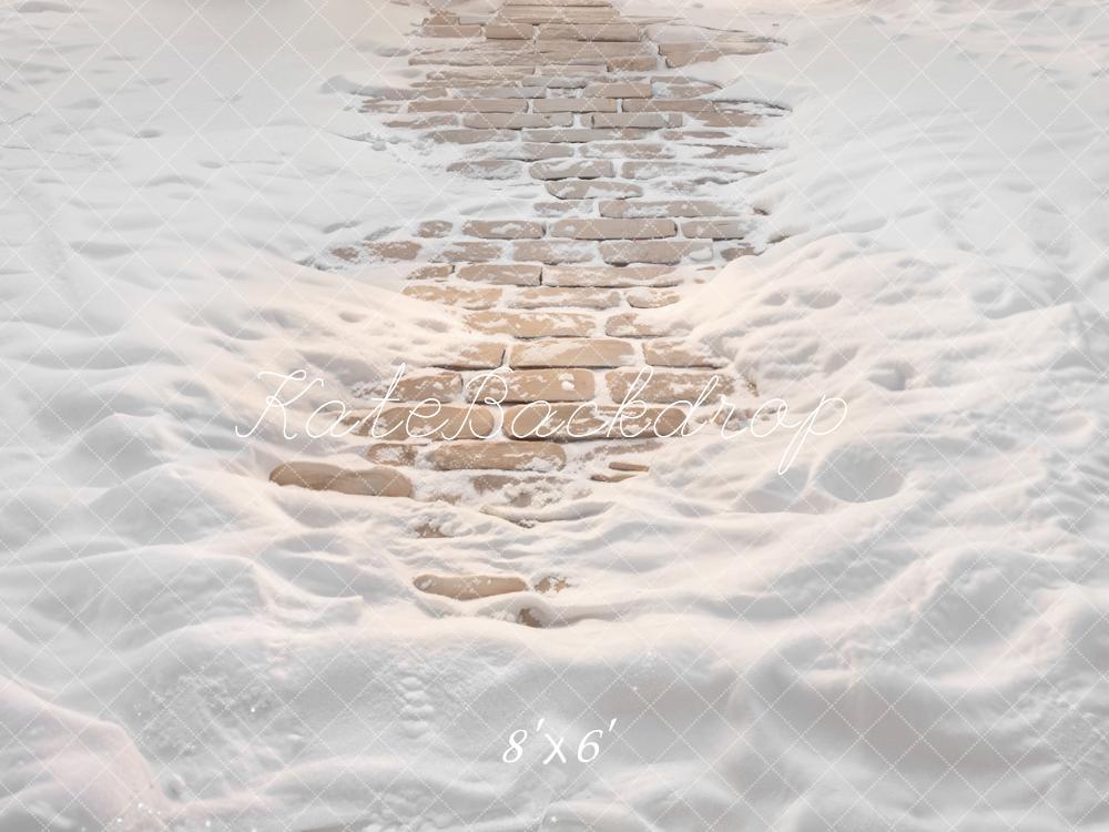 Kate Winter Snow Covered Cobblestone Path Printed Backdrop Designed by Emetselch
