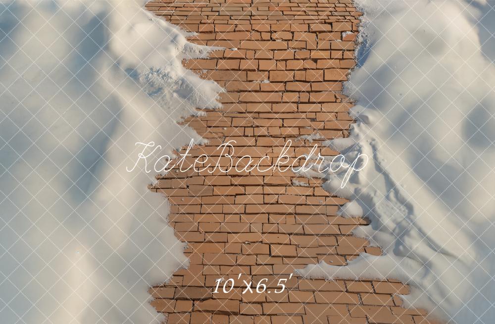 Kate Winter Brick Path Snow Floor Backdrop Designed by Emetselch