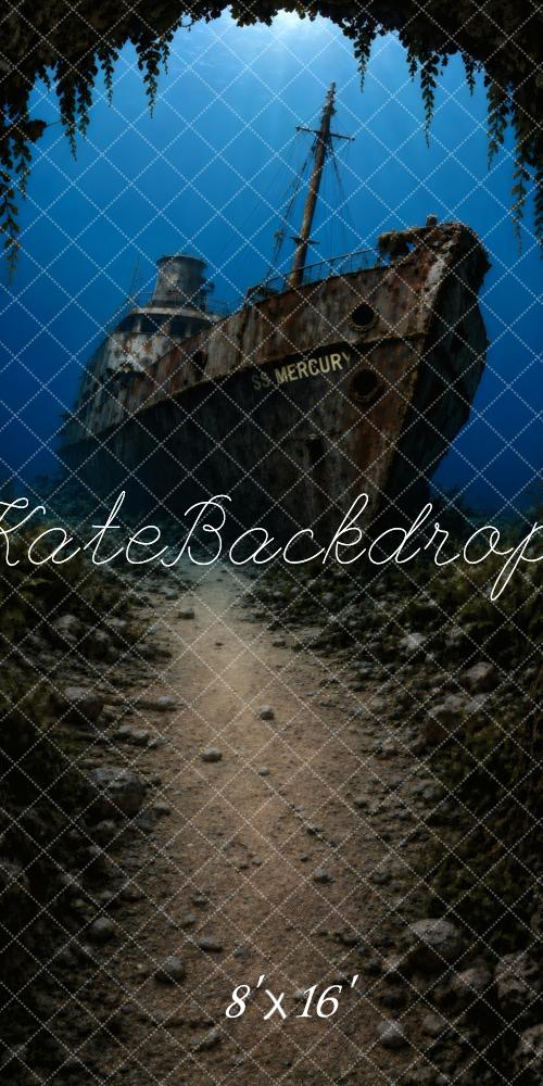 Kate Sweep Underwater Adventure Shipwreck Rocky Path Printed Backdrop Designed by Vertigo Productions