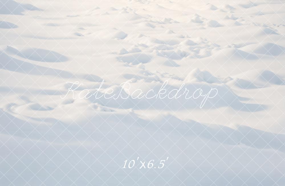 Winter Outdoor Sneeuw Vloer Foto Achtergrond 