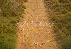 Fall Pad Achtergrond Bladeren Gras Foto Achtergrond Designed by Kate Image