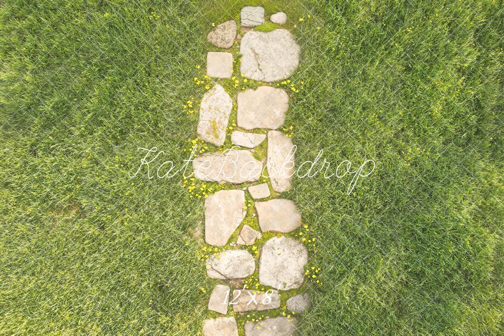 Kate Spring Stone Path In Green Grass Floor Backdrop Designed by Kate Image