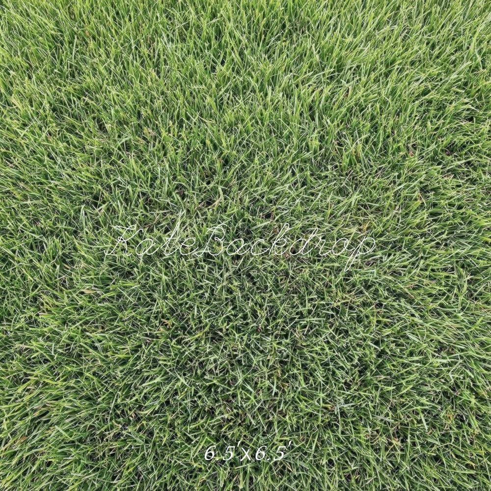Kate Green Grass Texture Floor Backdrop Designed by Mini MakeBelieve