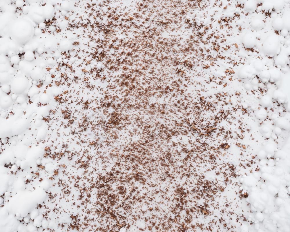 Kate Winter White Snow Brown Leaves Floor Printed Backdrop Designed by Kate Image
