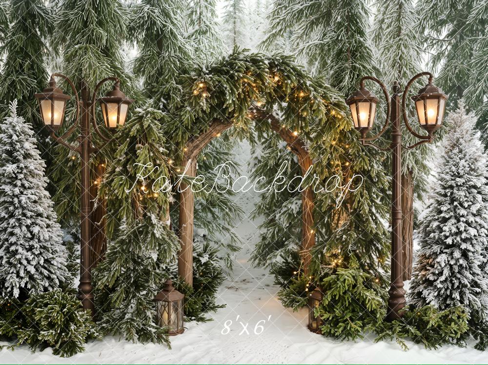 Kate Winter Lantern Arch Snowy Pine Trees Backdrop Designed by Emetselch