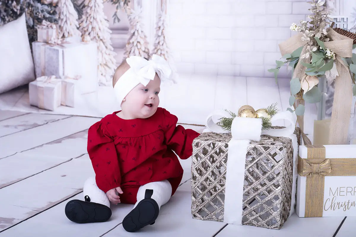 Kate Christmas White Window Wreath Backdrop Designed by Emetselch