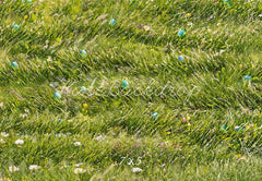 Easter Egg Green Meadow Floor Foto Achtergrond Designed by Kate Image