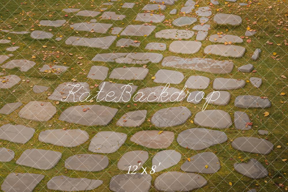 Kate Cobblestone Grass Fallen Leaves Floor Backdrop Designed by Kate Image