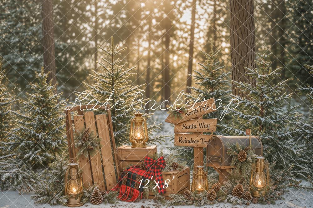 Kate Christmas Winter Forest Pine Trees Lantern Wood Sled Mailbox Signpost Printed Backdrop Designed by Emetselch