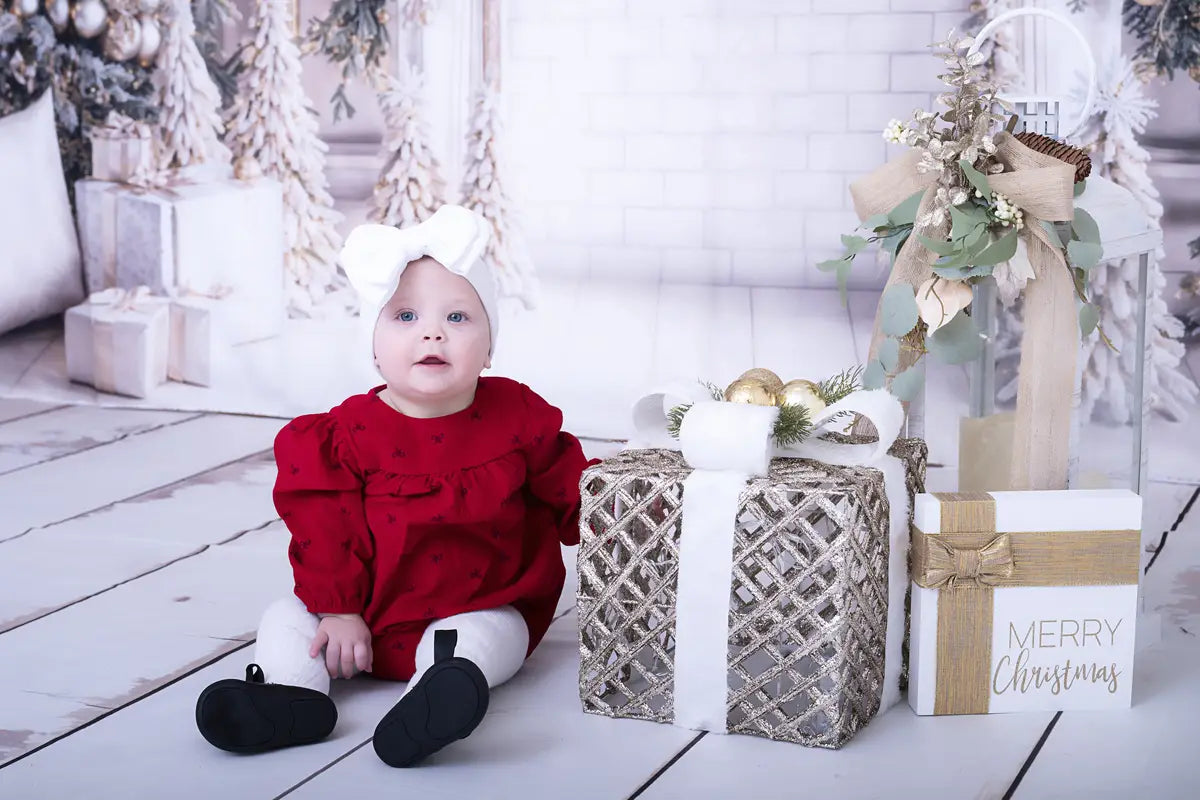 Kate Christmas White Window Wreath Backdrop Designed by Emetselch