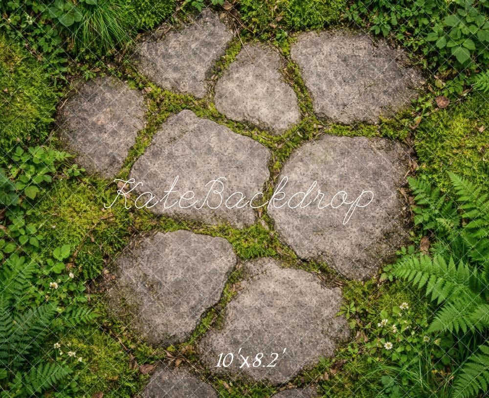 Kate Cobblestone Path With Ferns And Grass Floor Printed Backdrop Designed by Vertigo Productions
