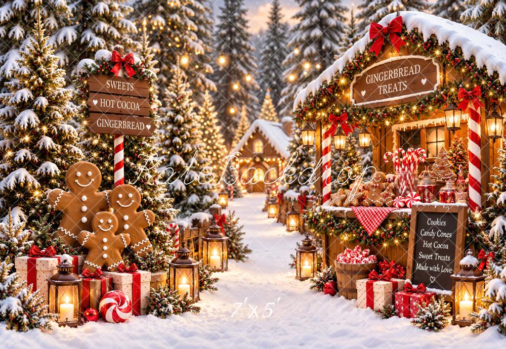 Kate Christmas Gingerbread House Village Snowy Printed Backdrop Designed by Emetselch