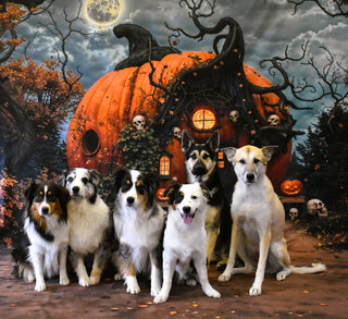 Kate Halloween Night Dark Forest Orange Magical Pumpkin House Printed Backdrop Designed by Emetselch
