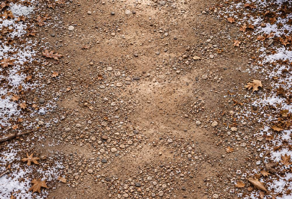 Kate Winter Snowy Dirt Path Withered Leaves Floor Printed Backdrop Designed by Kate Image