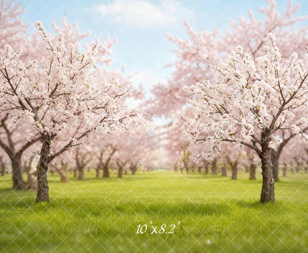 Kate Spring Cherry Blossom Orchard in Spring Backdrop Designed by Emetselch