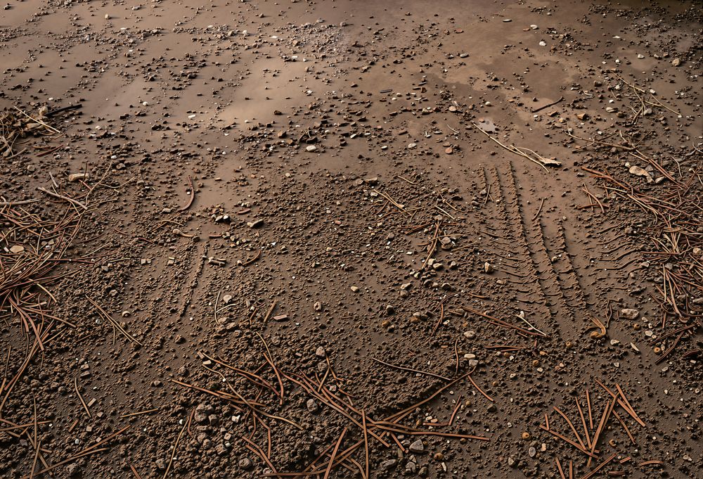 Kate Brown Dirt Gravel Tire Track Floor Printed Backdrop Designed by Kate Image
