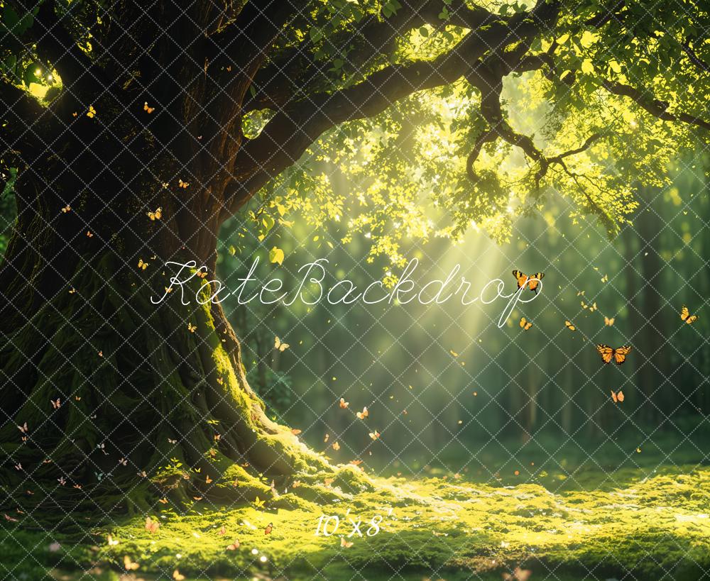 Fondo de Luz Solar del Árbol del Bosque de Hadas