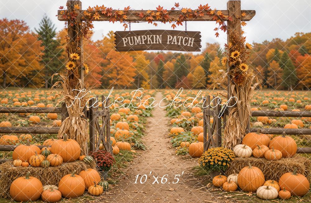 Kate Fall Pumpkin Patch Sunflowers Hay Bales Printed Backdrop Designed by Emetselch