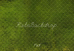 Kate Spring Green Grass Floor Printed Backdrop Designed by Emetselch