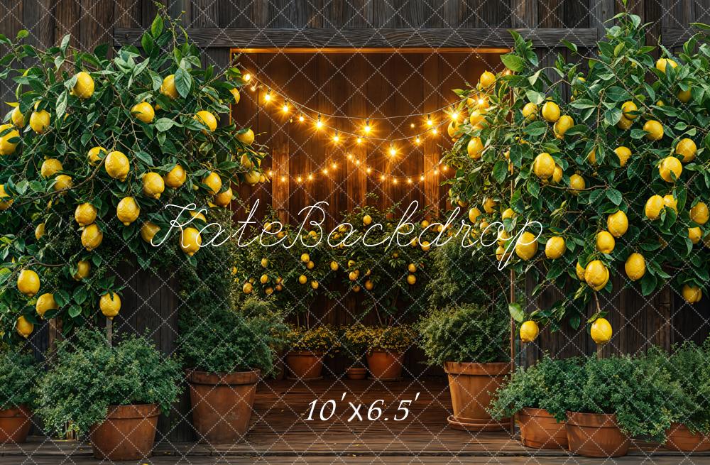 Kate Summer Barn Lemon String Lights Backdrop Designed by Emetselch