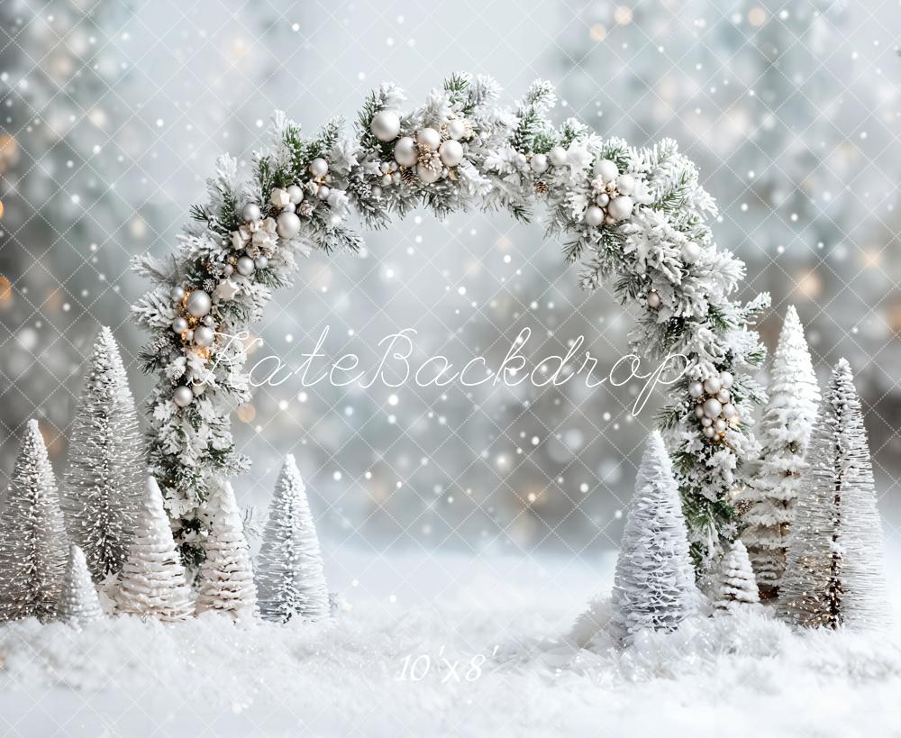 10x6.5ft Christmas Backdrop - Snowy Scene Archway Photo Background, Microfiber, For Studio, Kids, Holiday Parties (3x2m)