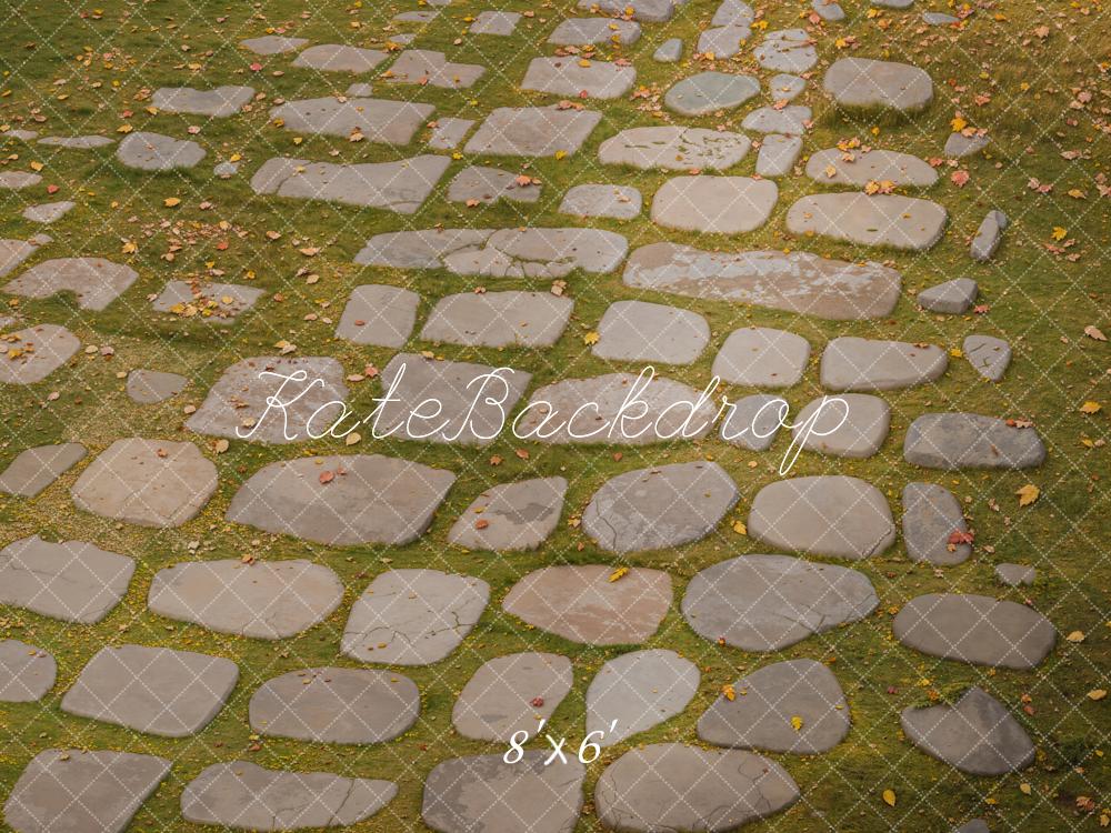 Kate Cobblestone Grass Fallen Leaves Floor Backdrop Designed by Kate Image
