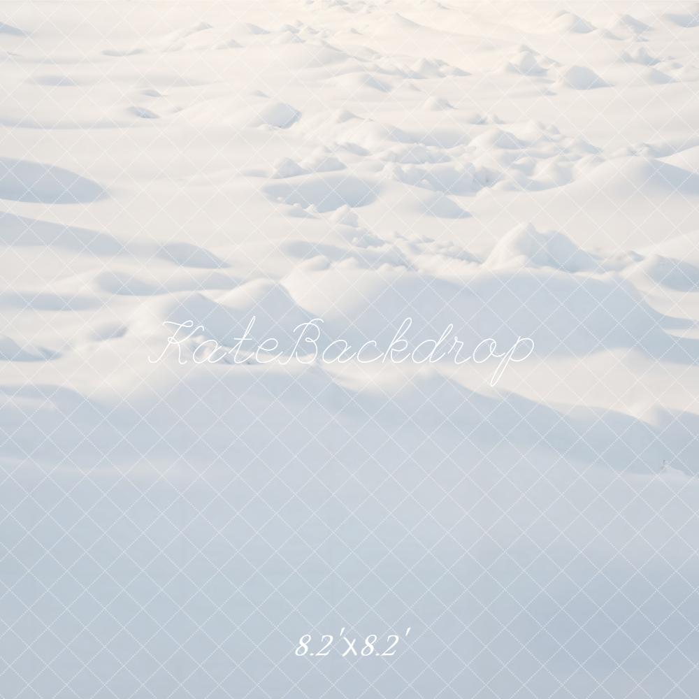 Winter Outdoor Sneeuw Vloer Foto Achtergrond 