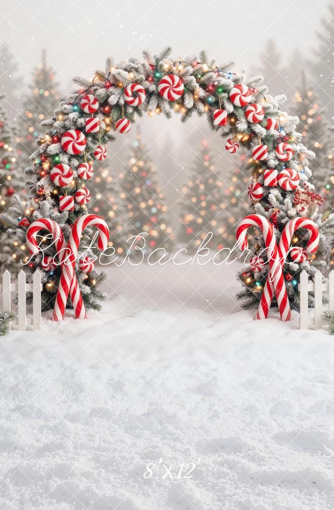 Kate Christmas Candy Cane Flower Arch Snow Printed Backdrop Designed by Emetselch