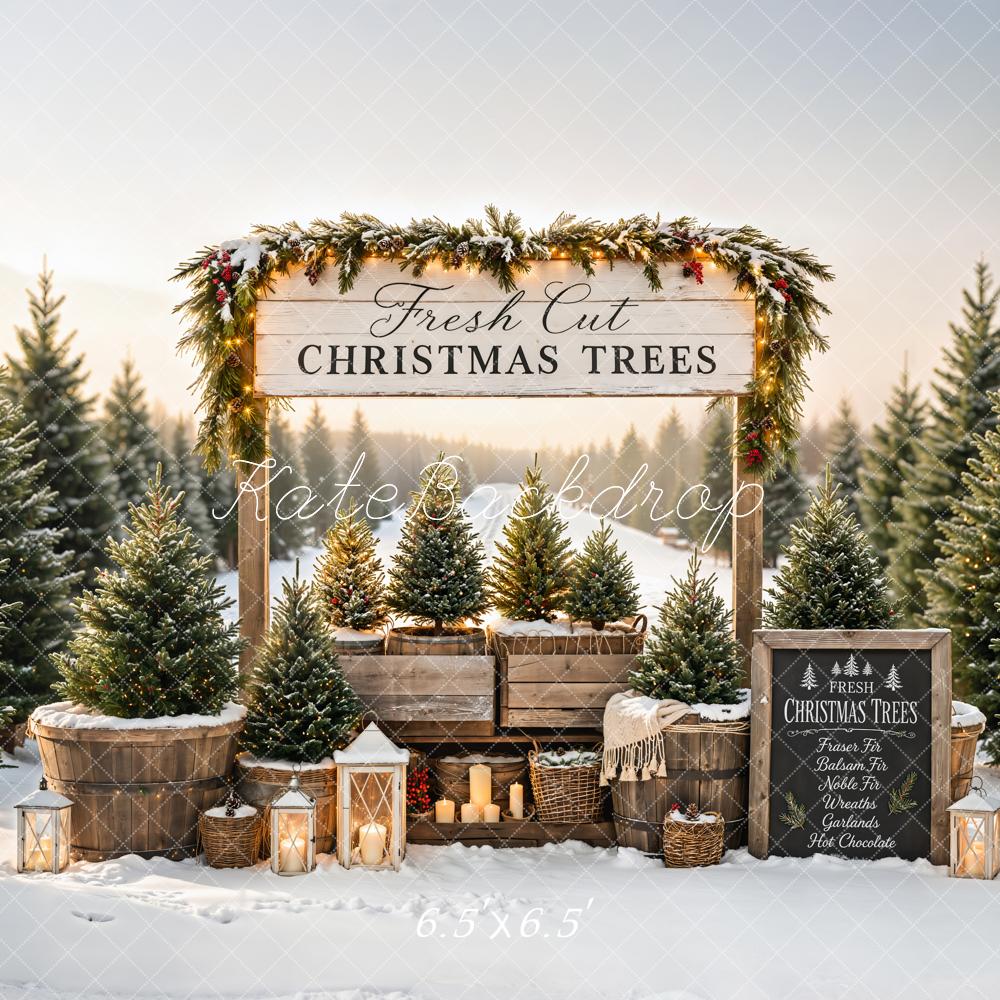 Kate Christmas Trees Stand Snowy Path Printed Backdrop Designed by Emetselch