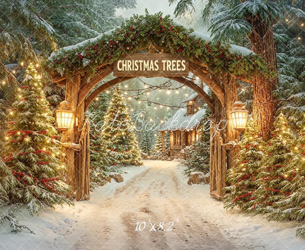 Kate Christmas Tree Arch Snowy Forest Pathway Cabin Backdrop Designed by Emetselch