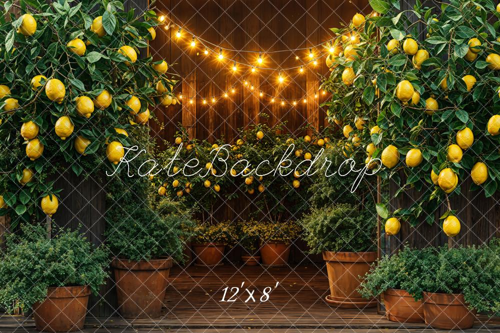 Kate Summer Barn Lemon String Lights Backdrop Designed by Emetselch