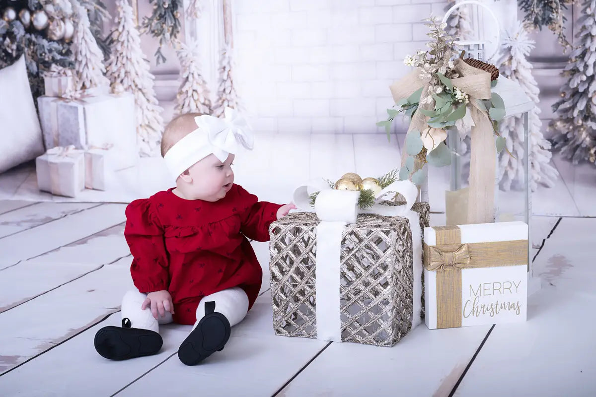 Kate Christmas White Window Wreath Backdrop Designed by Emetselch